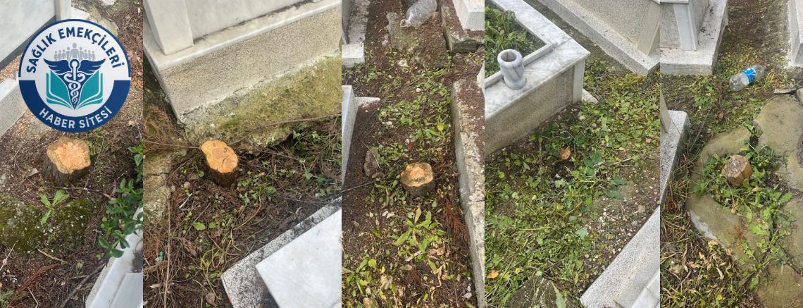 BUCA GÖKDERE MEZARLIĞI’NDA AĞAÇ KESİMİNE TEPKİLER YAĞIYOR