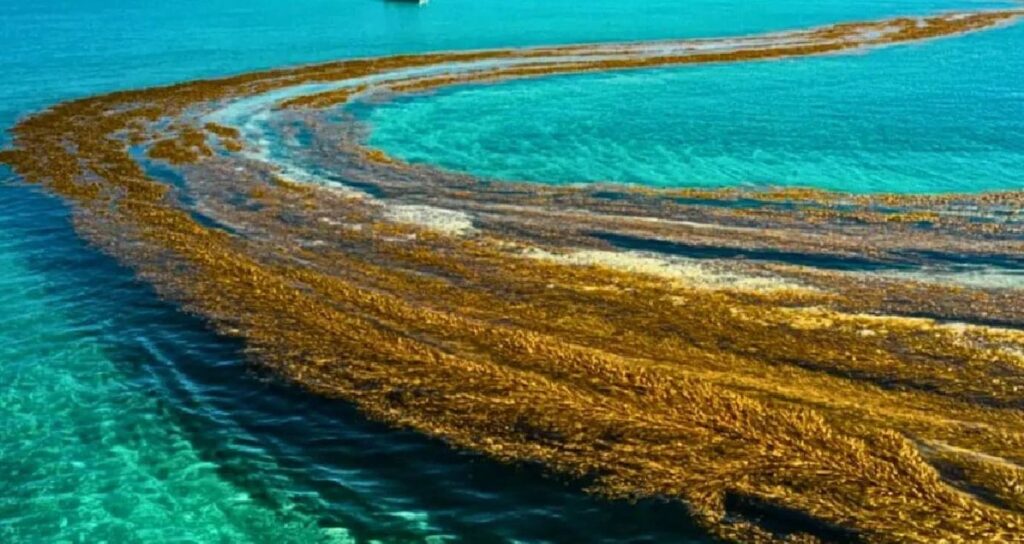 dunyada-kiyisi-olmayan-deniz-hizla-degisiyor-Ztd6jisl