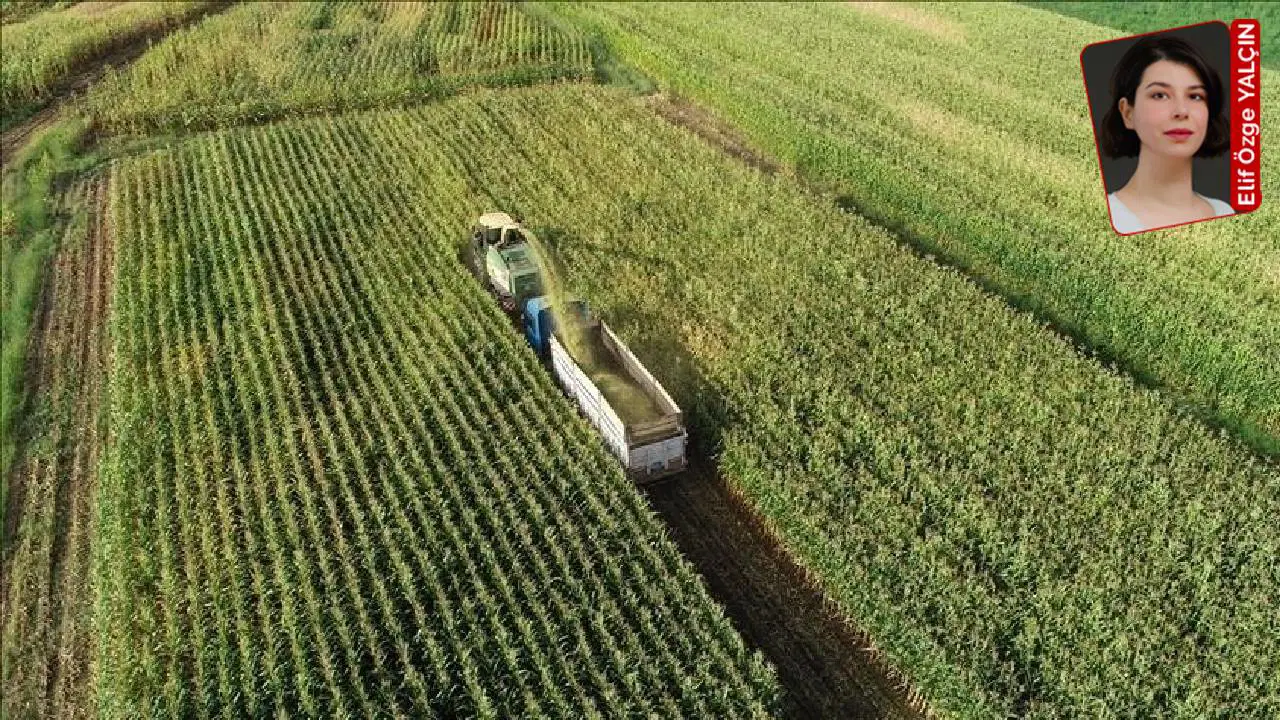 TTGB Kurucusu Kemal Berişler: “Üretim Planlamasına Destek Olacağız”